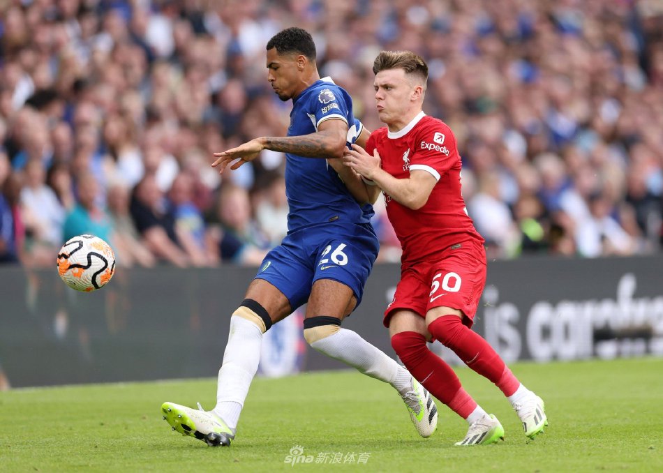 更强调整体 更强调整体